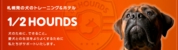 main_img.jpg